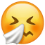 Emoji cara que estornuda U+1F927