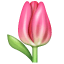 Emoji de un tulipán U+1F337