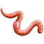 Emoji de gusano U+1FAB1